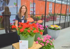 Martine Gerhards, marketing manager at Dümmen Orange, showing the pelargonium santana, a series especially suited for warm and dry climates. The series consists of drie different colours, but will likely be expanded in the near future.